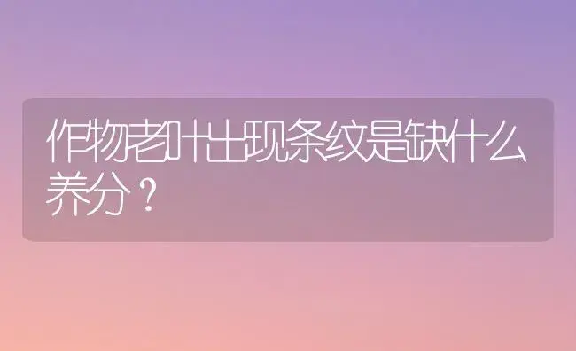 作物老叶出现条纹是缺什么养分？ | 植物科普