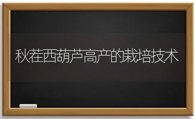 秋茬西葫芦高产的栽培技术 | 植物科普