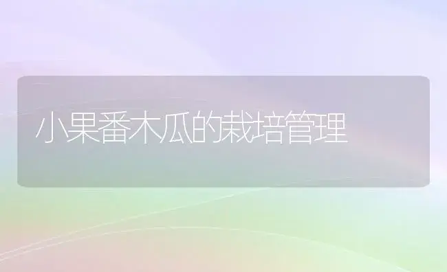 小果番木瓜的栽培管理 | 植物科普