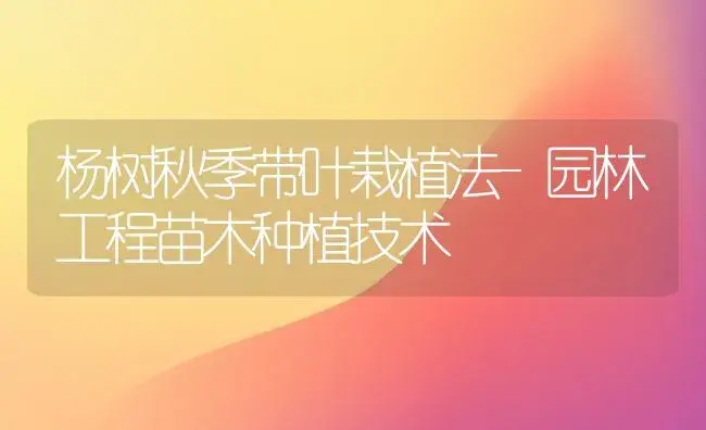 杨树秋季带叶栽植法-园林工程苗木种植技术 | 植物知识
