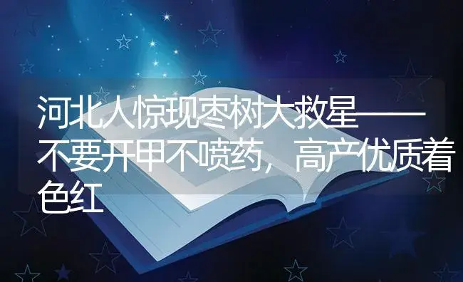 河北人惊现枣树大救星——不要开甲不喷药，高产优质着色红 | 植物知识