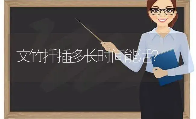 泉州公园里的树，是什么树呢？ | 植物问答