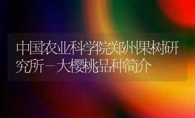 中国农业科学院郑州果树研究所－大樱桃品种简介 | 植物科普