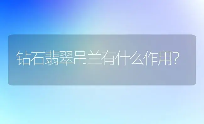 钻石翡翠吊兰有什么作用？ | 植物问答