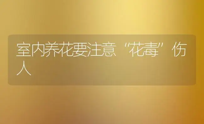 室内养花要注意“花毒”伤人 | 植物知识