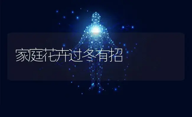 家庭花卉过冬有招 | 植物科普