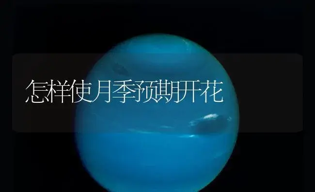 根据对象选择花卉 | 植物知识