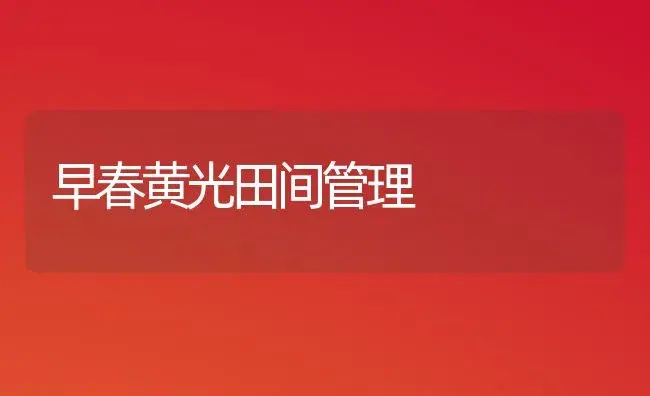 早春黄光田间管理 | 植物科普