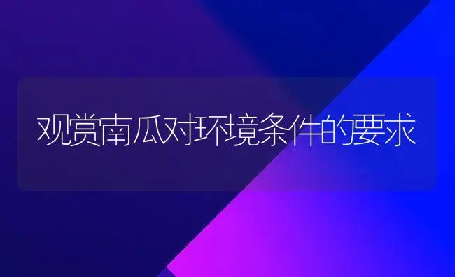 观赏南瓜对环境条件的要求 | 植物科普