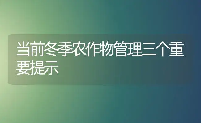 当前冬季农作物管理三个重要提示 | 植物科普