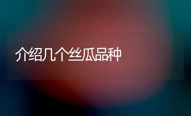 介绍几个丝瓜品种 | 植物百科