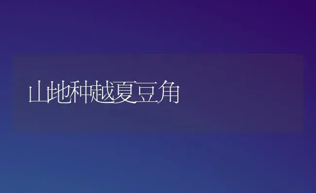 山地种越夏豆角 | 植物百科