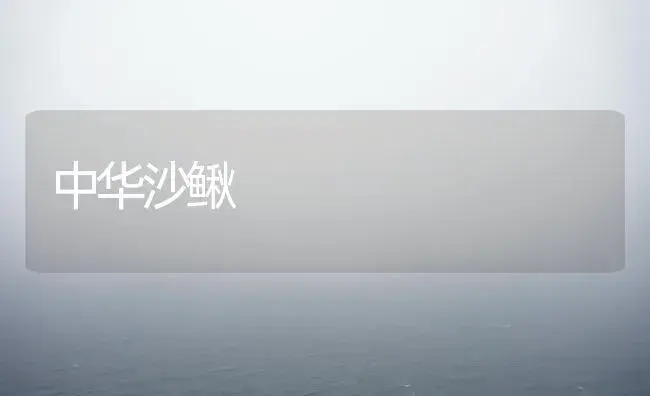 中华沙鳅 | 植物科普