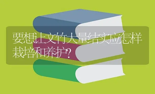 要想让文竹大量结实应怎样栽培和养护? | 植物知识