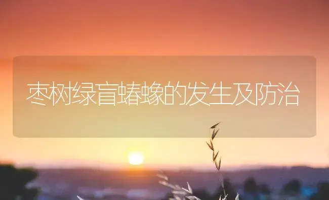 枣树绿盲蝽蟓的发生及防治 | 植物知识