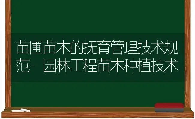 苗圃苗木的抚育管理技术规范-园林工程苗木种植技术 | 植物科普