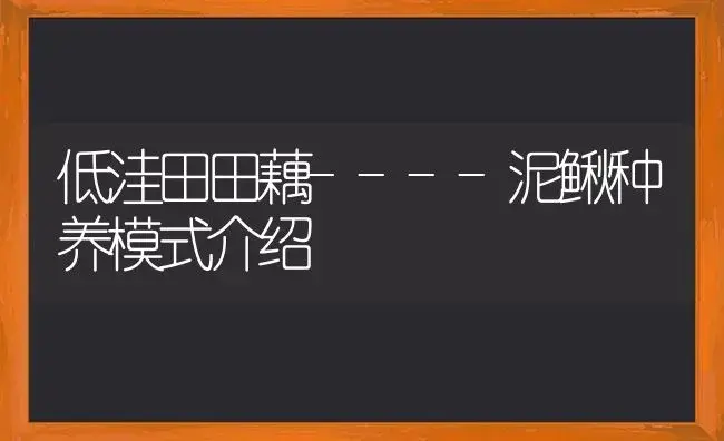 低洼田田藕----泥鳅种养模式介绍 | 植物科普