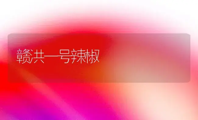 赣洪一号辣椒 | 植物百科