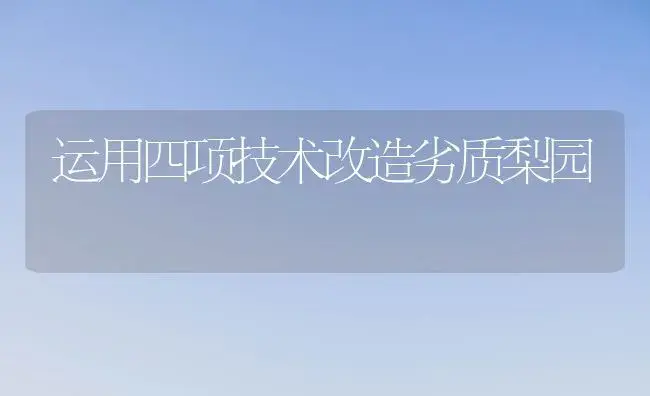 运用四项技术改造劣质梨园 | 植物百科