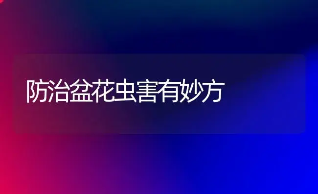防治盆花虫害有妙方 | 植物知识