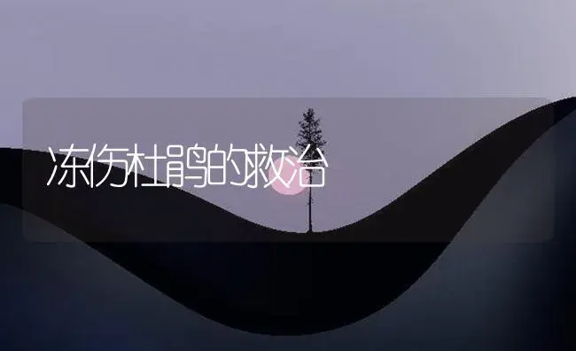 冻伤杜鹃的救治 | 植物知识