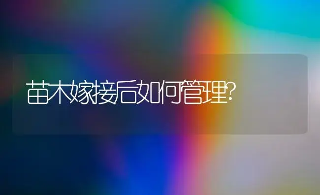 苗木嫁接后如何管理? | 植物科普