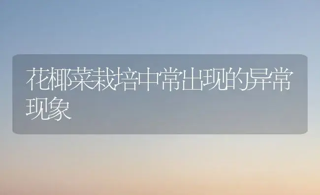 花椰菜栽培中常出现的异常现象 | 植物百科