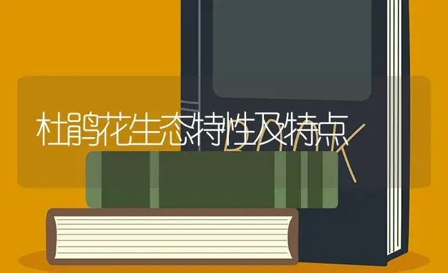 杜鹃花生态特性及特点 | 植物知识