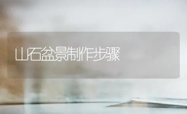 山石盆景制作步骤 | 植物知识