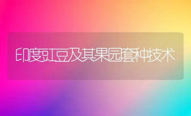 风信子怎么水培？ | 植物科普