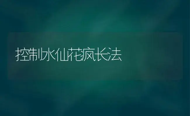 控制水仙花疯长法 | 植物科普