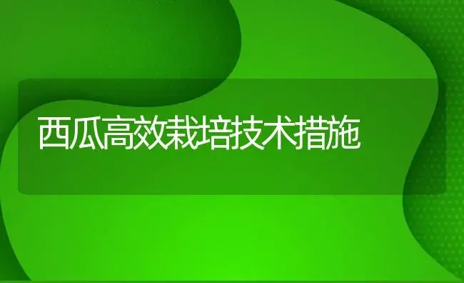 西瓜高效栽培技术措施 | 植物百科