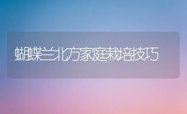蝴蝶兰北方家庭栽培技巧 | 植物科普