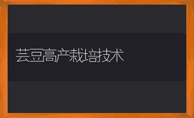 芸豆高产栽培技术 | 植物科普