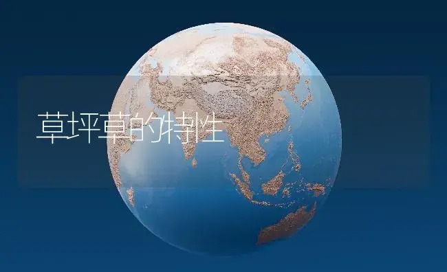 草坪草的特性 | 植物知识