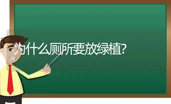 为什么厕所要放绿植？ | 植物问答