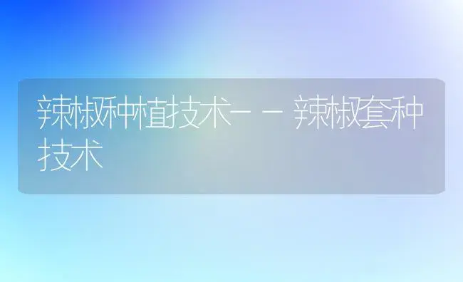 辣椒种植技术--辣椒套种技术 | 植物百科