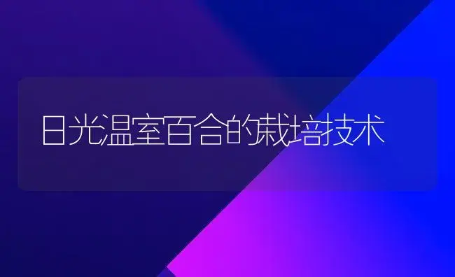 日光温室百合的栽培技术 | 植物科普