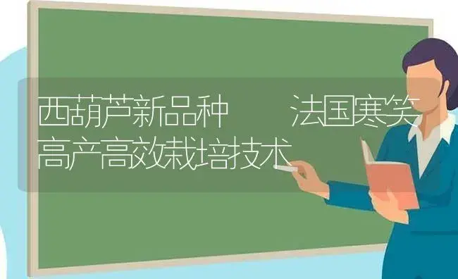 西葫芦新品种――法国寒笑高产高效栽培技术 | 植物科普