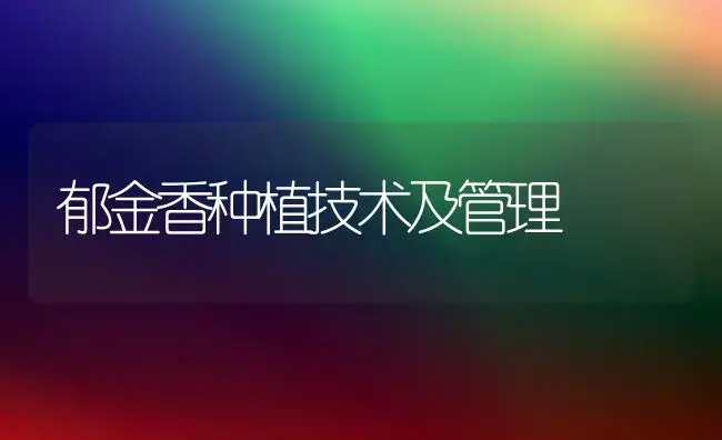 郁金香种植技术及管理 | 植物知识