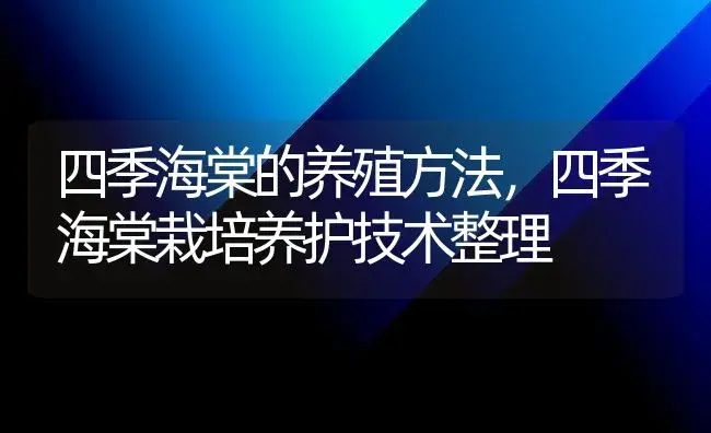 四季海棠的养殖方法，四季海棠栽培养护技术整理 | 植物知识