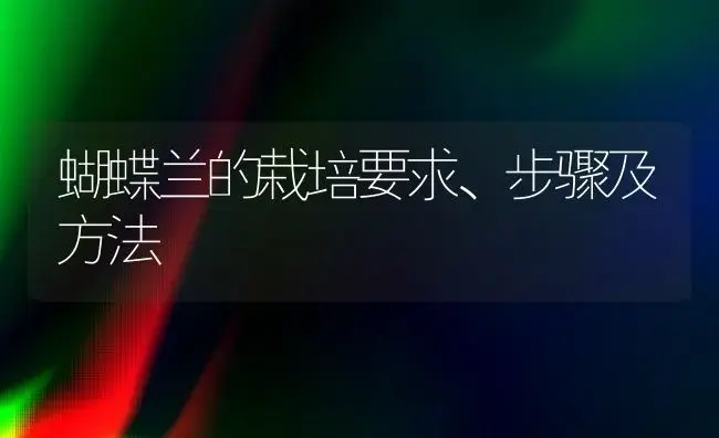 蝴蝶兰的栽培要求、步骤及方法 | 植物科普