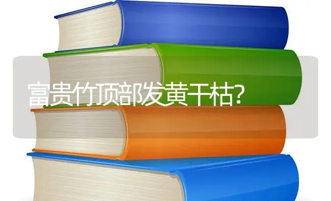 富贵竹顶部发黄干枯？ | 植物问答