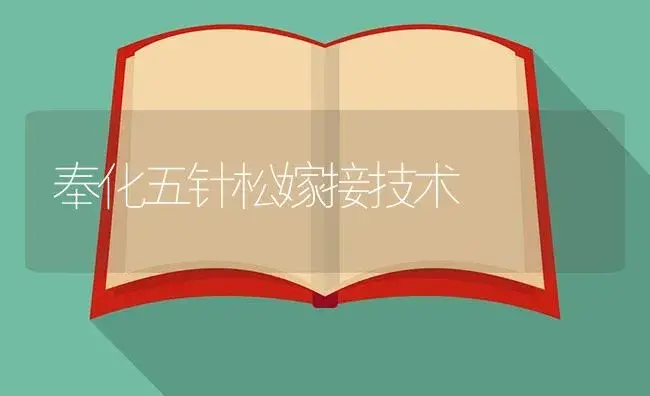 奉化五针松嫁接技术 | 植物知识