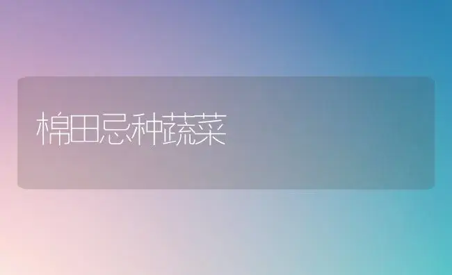 棉田忌种蔬菜 | 植物科普