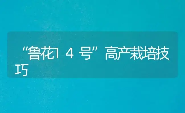 “鲁花14号”高产栽培技巧 | 植物科普