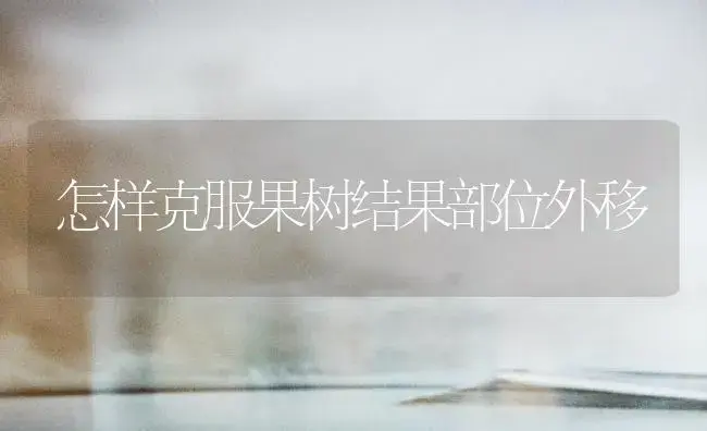 怎样克服果树结果部位外移 | 植物百科