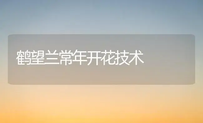 鹤望兰常年开花技术 | 植物知识
