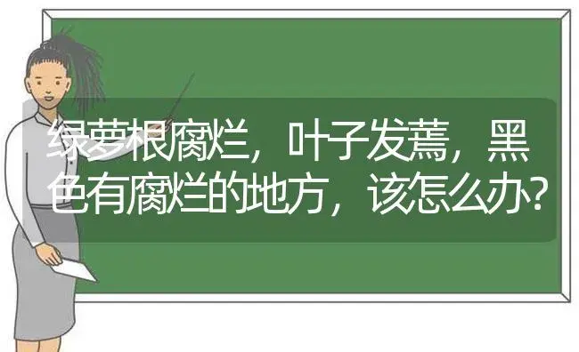 绿萝根腐烂，叶子发蔫，黑色有腐烂的地方，该怎么办？ | 植物问答