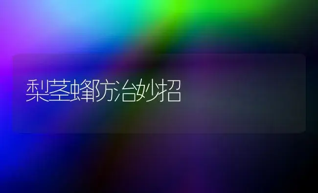 梨茎蜂防治妙招 | 植物知识